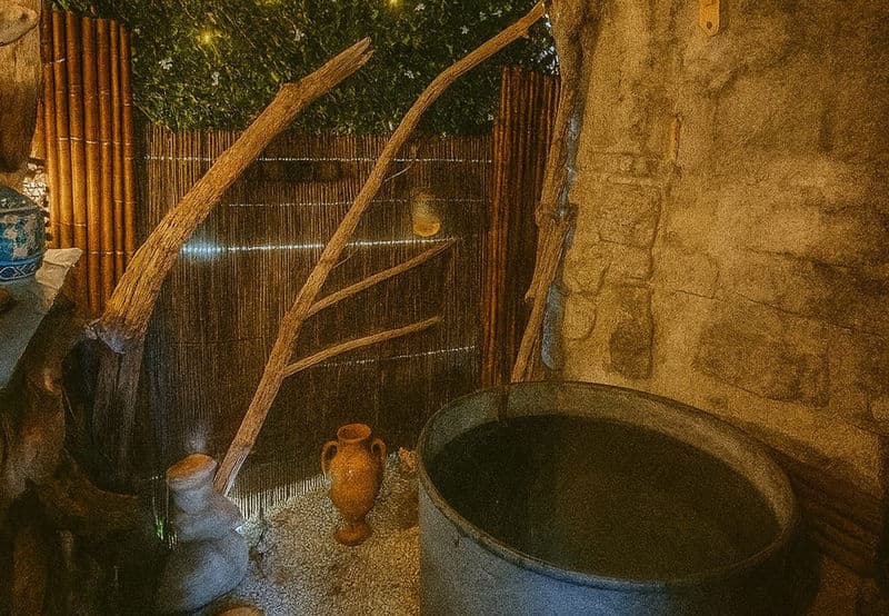 Bain Nordique & Douche Suédoise